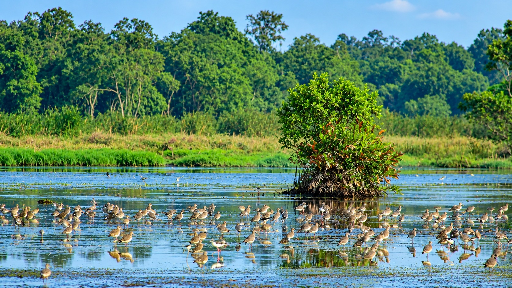 Anawilundawa Bird Sanctuary